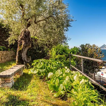 Casa Silvana Apartment Malcesine